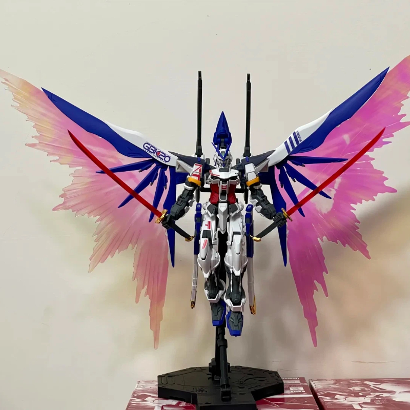 Daban 6659 Mg 1/100 Destiny As - Model Kit Daban 评论和价格